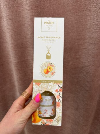 AMBIENTADOR YANI VARILLAS